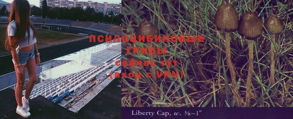 дмт Белоозёрский