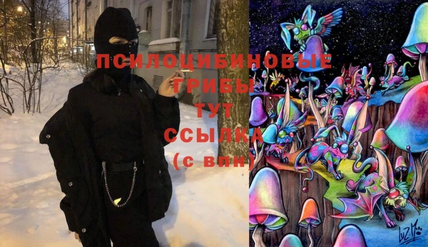 спиды Беломорск