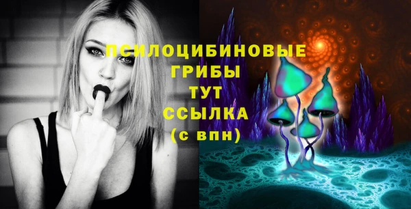 марки nbome Богданович