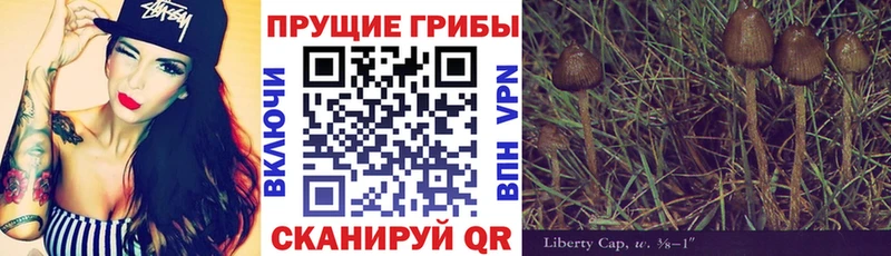 купить   Бобров  блэк спрут маркетплейс  Галлюциногенные грибы мухоморы 